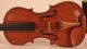 Old Rare Violin D.  Tecchler Geige Violon Violine Violino Viola 小提琴 バイオリン Viool String photo 1