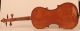 Old Rare Violin D.  Tecchler Geige Violon Violine Violino Viola 小提琴 バイオリン Viool String photo 2