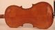 Old Rare Violin D.  Tecchler Geige Violon Violine Violino Viola 小提琴 バイオリン Viool String photo 3