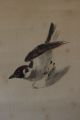 K00x9b Flying Little Sparrows & Rising Sun Japanese Hanging Scroll Paintings & Scrolls photo 3