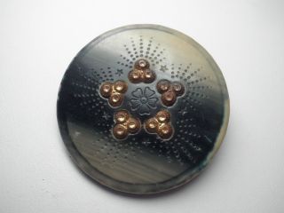 Lg Victorian Tight Top Raised Gold Metal Star Burst Green Tan Celluloid Button photo