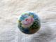 Antique Hand Painted Porcelain Button Roses Flower Pink Blue Floral Stunning Buttons photo 2