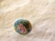 Antique Hand Painted Porcelain Button Roses Flower Pink Blue Floral Stunning Buttons photo 7