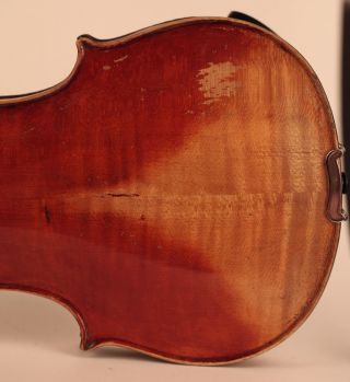 Old Rare Fine Violin Labeled Postiglione 1880 Geige Violon Violino Violine Viola photo