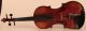 Old Rare Fine Violin Labeled Postiglione 1880 Geige Violon Violino Violine Viola String photo 1