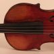 Old Rare Fine Violin Labeled Postiglione 1880 Geige Violon Violino Violine Viola String photo 3