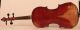 Old Rare Fine Violin Labeled Postiglione 1880 Geige Violon Violino Violine Viola String photo 4