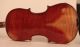Old Rare Fine Violin Labeled Postiglione 1880 Geige Violon Violino Violine Viola String photo 5