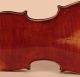 Old Rare Fine Violin Labeled Postiglione 1880 Geige Violon Violino Violine Viola String photo 6
