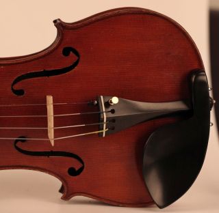 Lovely Fine Old Italian Violin C.  Candi 1933 Geige Violon Violino Violine Viola photo