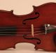 Lovely Fine Old Italian Violin C.  Candi 1933 Geige Violon Violino Violine Viola String photo 3
