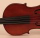 Lovely Fine Old Italian Violin C.  Candi 1933 Geige Violon Violino Violine Viola String photo 4