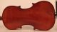 Lovely Fine Old Italian Violin C.  Candi 1933 Geige Violon Violino Violine Viola String photo 6