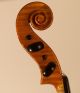Fine Old Violin P.  De Barbielri 1947 Geige Violon Violine Violino Viola Fiddle String photo 8