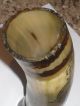 Vintage African Horn Signed Drinking Vessel Cup Decorated With Elephant Gambia Other African Antiques photo 4