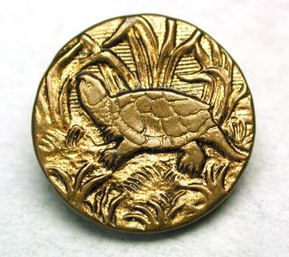 Antique Brass Button Turtle Pictorial Design photo