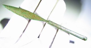 Rare Ancient Roman Bronze Engraved Medical Tool - Scalpel - 