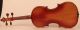 Fine Old Violin G.  Ornati 1930 Geige Violon Violine Violino Viola 小提琴 バイオリン Viool String photo 3