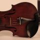 Antique Old Violin Lab.  Pallotta 1792 Geige Violon Violine Violino 小提琴 バイオリン String photo 2