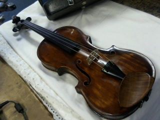 Violin 4/4 Violin (vp1001824) photo