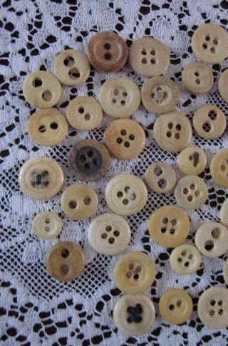 50 Vintage Antique Bone Buttons Bovine Sewing Tools Civil War Era 2 And 4 Hole photo