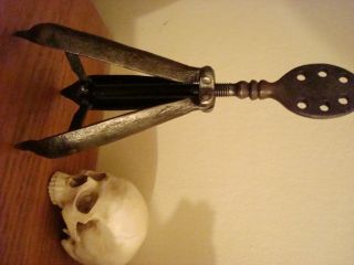 Medieval Torture Insturment The Pear Of Anguish photo
