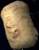Pre - Columbian Mounted Early Mayan Figure Head,  Ca; 500 - 200 Bc The Americas photo 3