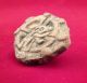 Pre Columbian Clay Pottery Stamp Fragment Mayan Olmec Aztec Zapotec Artifacts 2 The Americas photo 5