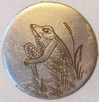 Engraved Stud Buttons Frogs photo