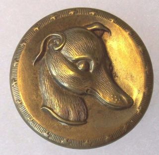 Golden Age Whippet Picture Button Back Mark Dog Sporting photo
