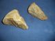 2 Neolithic Hand Axe From Iberian Tribes Ref 010 Neolithic & Paleolithic photo 1