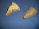 2 Neolithic Hand Axe From Iberian Tribes Ref 010 Neolithic & Paleolithic photo 3