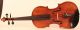 Lovely Fine Old Italian Violin G.  Corsini 1951 Geige Violon Violino Violine Viola String photo 1