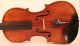 Lovely Fine Old Italian Violin G.  Corsini 1951 Geige Violon Violino Violine Viola String photo 2