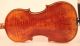Lovely Fine Old Italian Violin G.  Corsini 1951 Geige Violon Violino Violine Viola String photo 4