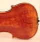 Lovely Fine Old Italian Violin G.  Corsini 1951 Geige Violon Violino Violine Viola String photo 5