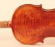 Lovely Fine Old Italian Violin G.  Corsini 1951 Geige Violon Violino Violine Viola String photo 6