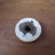 Antique Victorian Wooden Door Knob Backplate Cover In Old White Paint Door Plates & Backplates photo 1