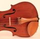 Old Rare Fine Violin Labeled A.  Gagliano 1837 Geige Violon Violino Violine Viola String photo 3
