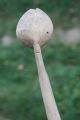 Antique Carved Handmade Wooden Spoon Natural Patina 223 Primitives photo 9