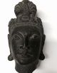 Gandhara / Gandharan Schist Stone Buddha Head Bust. Near Eastern photo 1