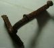 Rare Ancient Roman Iron Crossbow Single Knot Fibula Brooch Artifact Roman photo 2