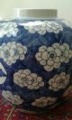 Large Antique Chinese Blue And White Prunus Ginger Jar Kangxi Marks 19th C Vases photo 1