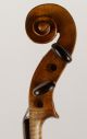 V.  Panormo 1789 18th Century Antique 4/4 Violin Label Old Geige Violon String photo 7