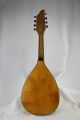 Vintage 1920 ' S Mandolin Project With Engraved Headstock Stromberg Voisinet Built String photo 2