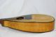 Vintage 1920 ' S Mandolin Project With Engraved Headstock Stromberg Voisinet Built String photo 5