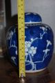 Chinese Porcelain Kangxi Mark Prunus & Hawthorn Jar - Early 19thc Vases photo 9
