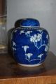 Chinese Porcelain Kangxi Mark Prunus & Hawthorn Jar - Early 19thc Vases photo 1