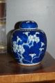 Chinese Porcelain Kangxi Mark Prunus & Hawthorn Jar - Early 19thc Vases photo 2