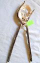 Antique Pearl Button Cutters Tongs And Clam Shell With Up To 6 Holes 2 Iowa Other Mercantile Antiques photo 1